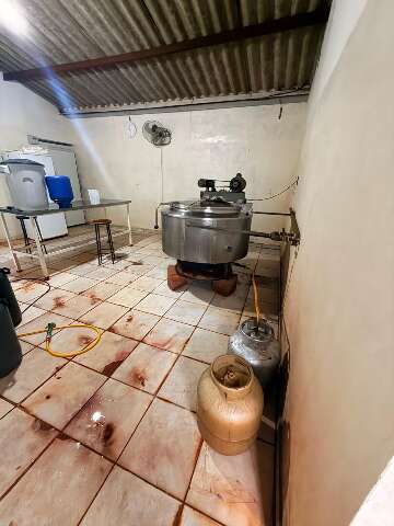 F&aacute;brica insalubre de iogurtes &eacute; interditada e produtos s&atilde;o apreendidos