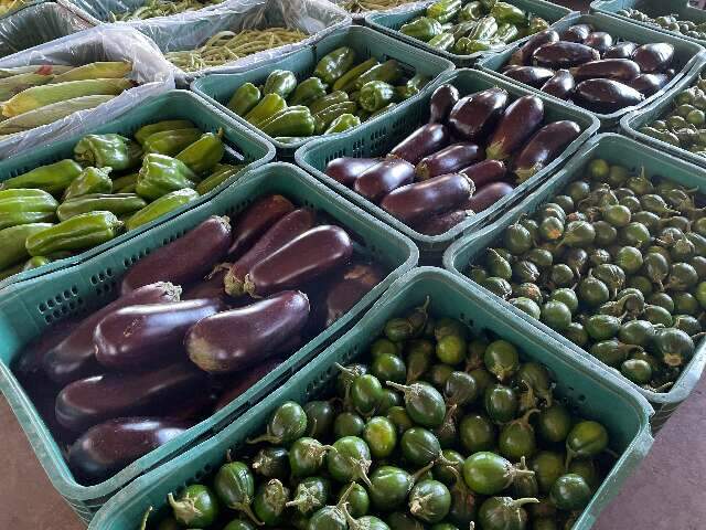 Nesta semana, berinjela e jil&oacute; s&atilde;o os itens com maior redu&ccedil;&atilde;o de pre&ccedil;o na Ceasa