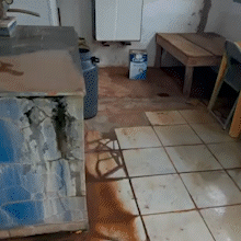 Pol&iacute;cia apreende iogurtes em padaria e mercado ap&oacute;s lacrar f&aacute;brica insalubre