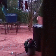 Com duas mortes, agro n&atilde;o entra em discuss&atilde;o sobre conflito em Iguatemi