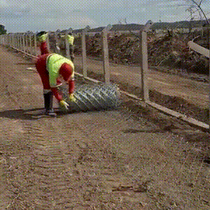 BR-262 recebe primeiras cercas para reduzir atropelamentos de animais