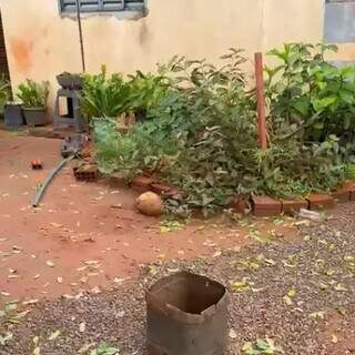 Creche clandestina volta a operar e mulher admite cobrar R$ 400 por criança Creche clandestina volta a operar e mulher admite cobrar R$ 400 por criança