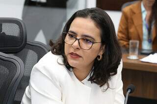 Deputada pede vistas e adia vota&ccedil;&atilde;o de empr&eacute;stimo de US$ 80 milh&otilde;es para HR