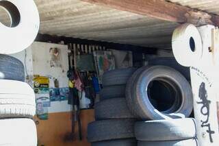 Há 47 anos, Deraldo tem borracharia à sombra das árvores que plantou Há 47 anos, Deraldo tem borracharia à sombra das árvores que plantou