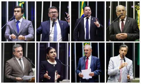 Bancada de MS se divide ao votar PL que endurece puni&ccedil;&otilde;es contra fac&ccedil;&otilde;es