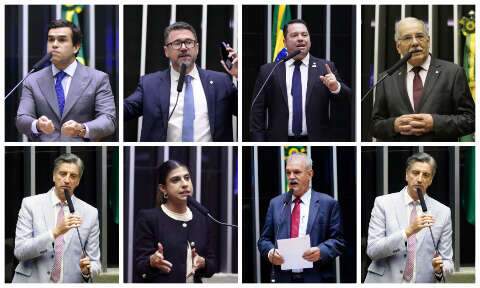 Bancada de MS se divide ao votar PL que endurece puni&ccedil;&otilde;es contra fac&ccedil;&otilde;es