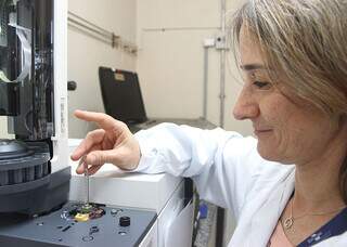 Pesquisa desvenda “diálogo químico” entre o milho e a lagarta-do-cartucho Pesquisa desvenda “diálogo químico” entre o milho e a lagarta-do-cartucho