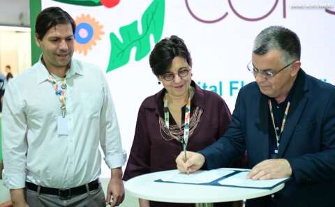 BNDES anuncia edital de R$ 5,9 milh&otilde;es para recuperar &aacute;reas do Pantanal 