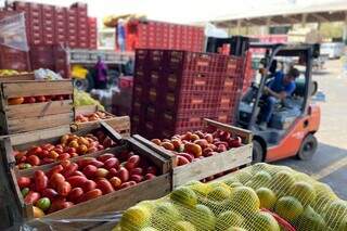 Mandioca lidera vendas regionais, seguida por laranja e ovos Mandioca lidera vendas regionais, seguida por laranja e ovos