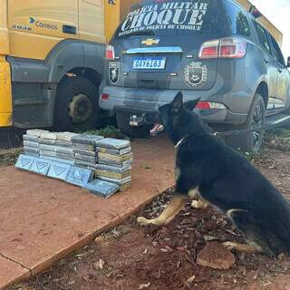 Correios t&ecirc;m caminh&atilde;o flagrado com 44 quilos de coca&iacute;na na BR-262