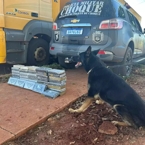 Correios t&ecirc;m caminh&atilde;o flagrado com 44 quilos de coca&iacute;na na BR-262
