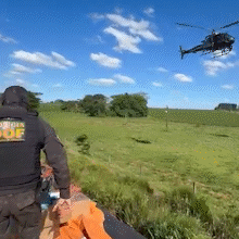 Com apoio a&eacute;reo, pol&iacute;cia apreende caminh&otilde;es com cigarro e agrot&oacute;xico em MS