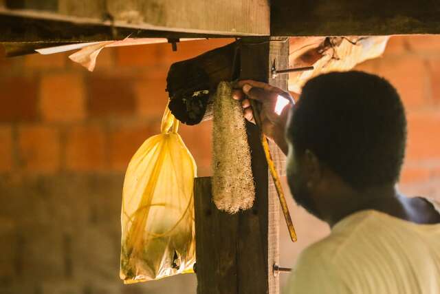 N&uacute;mero de processos por racismo quase dobra em MS em 2025