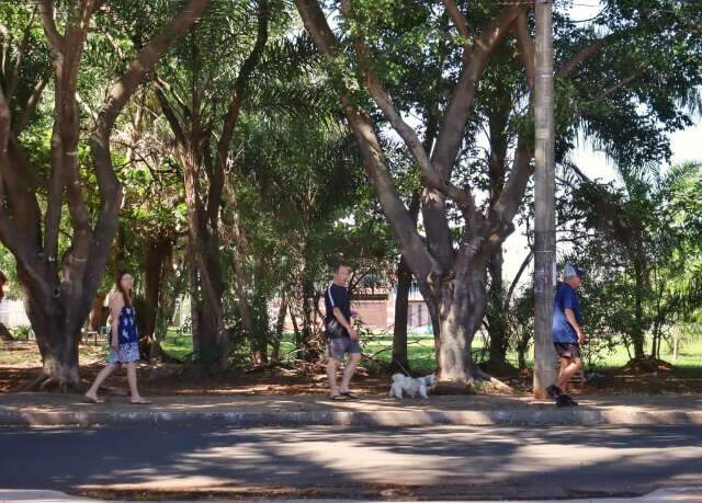 &quot;Lix&atilde;o&quot; recuperado por vizinhos hoje re&uacute;ne at&eacute; quem mora a 2 km de dist&acirc;ncia