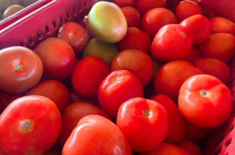 Voc&ecirc; faz compras em supermercados ou em pequenos com&eacute;rcios de bairro?