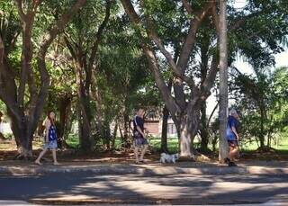 &quot;Lix&atilde;o&quot; recuperado por vizinhos hoje re&uacute;ne at&eacute; quem mora a 2 km de dist&acirc;ncia
