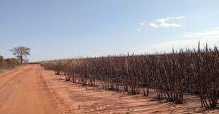 Inc&ecirc;ndio que resultou em multa de R$ 5,8 milh&otilde;es &eacute; investigado em MS