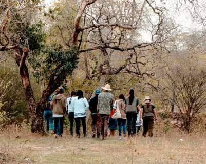 Expedi&ccedil;&atilde;o leva 425 mudas de pau-santo para &aacute;rea ind&iacute;gena Kadiw&eacute;u