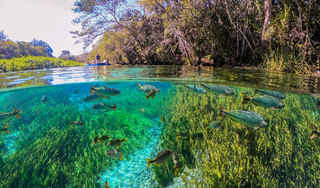 Bonito passar&aacute; a cobrar R$ 15 por dia de turistas daqui a um m&ecirc;s