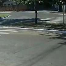 De bicicleta, mulher &eacute; atingida por &ocirc;nibus do transporte coletivo em rotat&oacute;ria