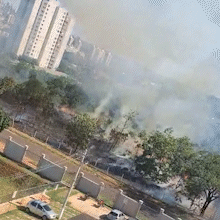 Inc&ecirc;ndio se espalha e queima &aacute;rvores de mata no bairro Semin&aacute;rio