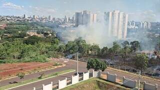 Inc&ecirc;ndio se espalha e queima &aacute;rvores de mata no bairro Semin&aacute;rio