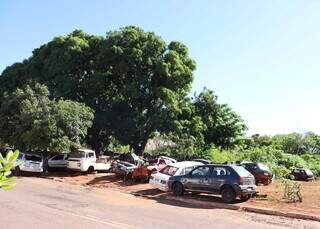 C&oacute;rrego que atra&iacute;a animais vira ponto de lixo em bairro conhecido pelos p&aacute;ssaros