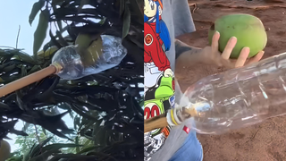 Com medo de ficar sem manga, J&eacute;ssica apelou para gambiarra