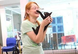 Feira de adoção busca tutores responsáveis para gatos resgatados Feira de adoção busca tutores responsáveis para gatos resgatados