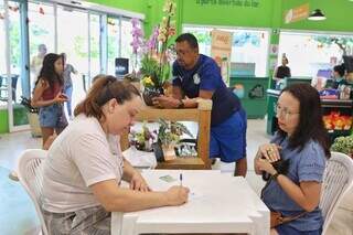Feira de adoção busca tutores responsáveis para gatos resgatados Feira de adoção busca tutores responsáveis para gatos resgatados