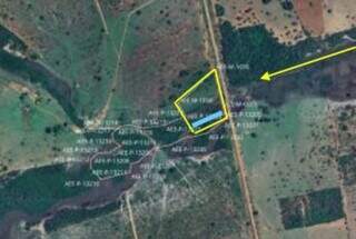 MP volta a apurar supress&atilde;o de mata nativa para cria&ccedil;&atilde;o de balne&aacute;rio