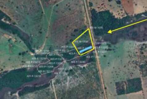 MP volta a apurar supress&atilde;o de mata nativa para cria&ccedil;&atilde;o de balne&aacute;rio