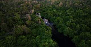 Bate-volta tem on&ccedil;a, ariranha e muita natureza em 3h no Salobra
