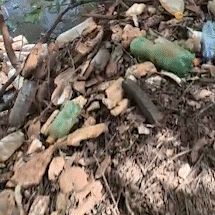 Montanha de garrafas pet toma conta de margens de c&oacute;rrego 