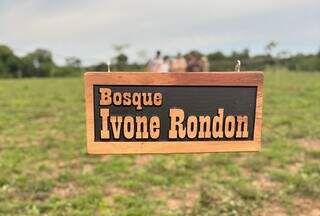 No Pantanal, fam&iacute;lia plantou Ivoninha e cinzas viraram ip&ecirc;