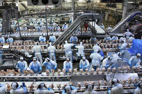 Exporta&ccedil;&otilde;es industriais de MS somam US$ 6,51 bilh&otilde;es neste ano