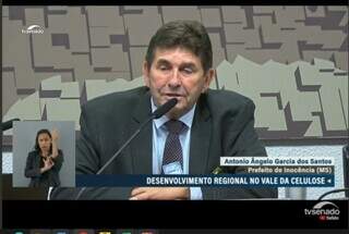 Inoc&ecirc;ncia corre contra o tempo para abrigar investimento de US$ 4,6 bi da Arauco