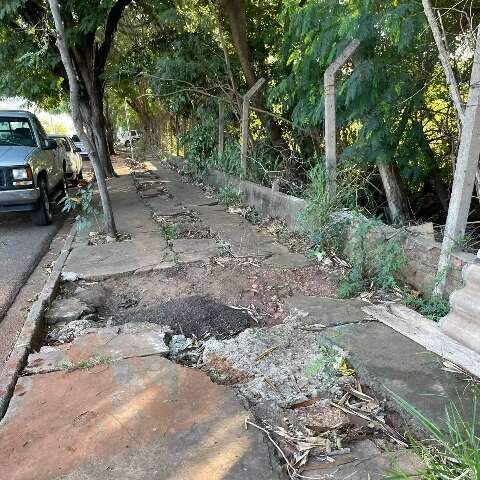 Terreno de antiga pedreira continua sendo foco de lixo e de animais mortos