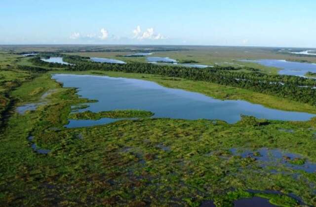 Governo quer atualizar lei e criar novo modelo estadual de pagamento ambiental