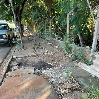 Terreno de antiga pedreira continua sendo foco de lixo e de animais mortos