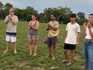 No Pantanal, fam&iacute;lia plantou Ivoninha e cinzas viraram ip&ecirc;