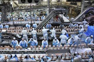 Exporta&ccedil;&otilde;es industriais de MS somam US$ 6,51 bilh&otilde;es neste ano