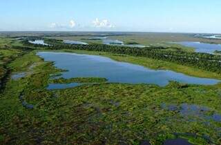 Governo quer atualizar lei e criar novo modelo estadual de pagamento ambiental Governo quer atualizar lei e criar novo modelo estadual de pagamento ambiental