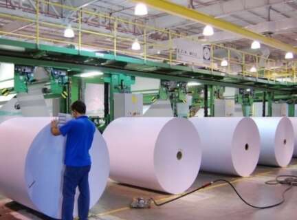 Nova fronteira de eucalipto em MS tem capacidade de dobrar produ&ccedil;&atilde;o de celulose