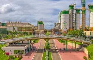 Nova fronteira de eucalipto em MS tem capacidade de dobrar produção de celulose Nova fronteira de eucalipto em MS tem capacidade de dobrar produção de celulose