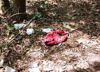 Corredora escapa de estupro no Parque dos Poderes e agressor &eacute; preso