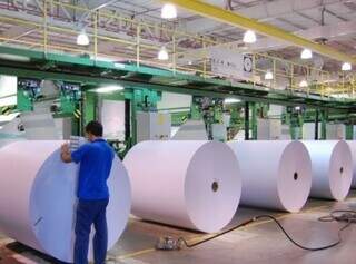 Nova fronteira de eucalipto em MS tem capacidade de dobrar produção de celulose Nova fronteira de eucalipto em MS tem capacidade de dobrar produção de celulose