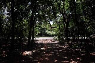 Corredora escapa de estupro no Parque dos Poderes e agressor &eacute; preso