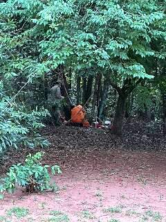 Apesar de p&acirc;nico, ataque &agrave; corredora no Parque dos Poderes &eacute; o &uacute;nico do ano
