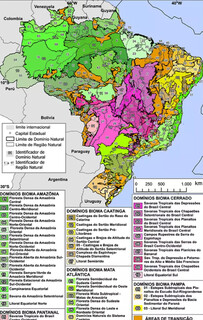 IBGE propõe nova divisão ecológica e revela diversidade do Cerrado e Pantanal IBGE propõe nova divisão ecológica e revela diversidade do Cerrado e Pantanal